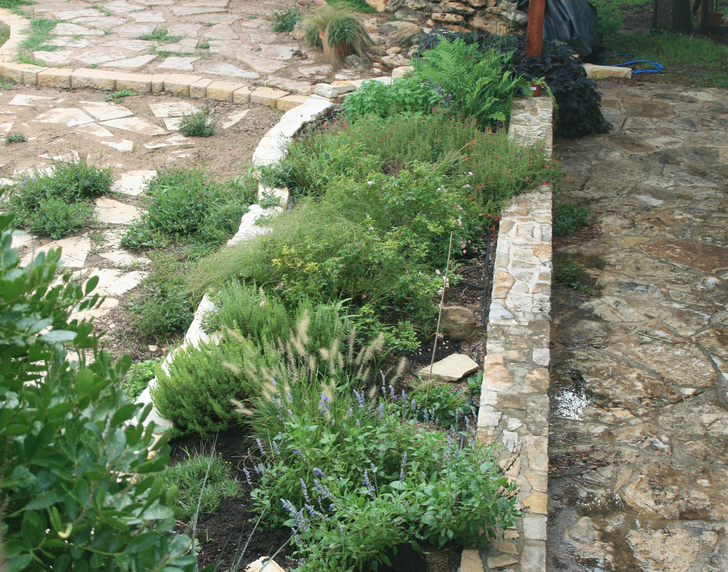 Perennial Bed Picture