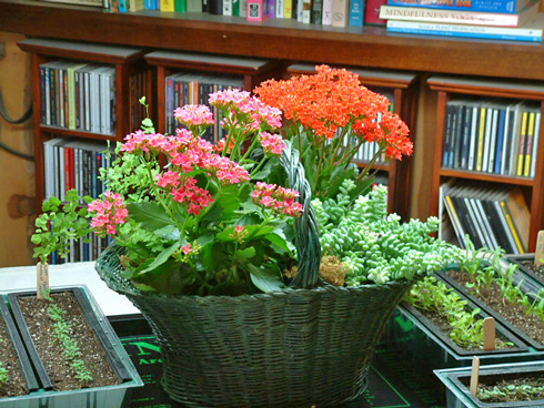 Flowers from Team
