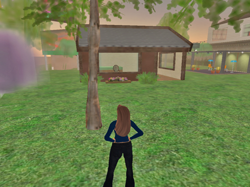 SL View Front