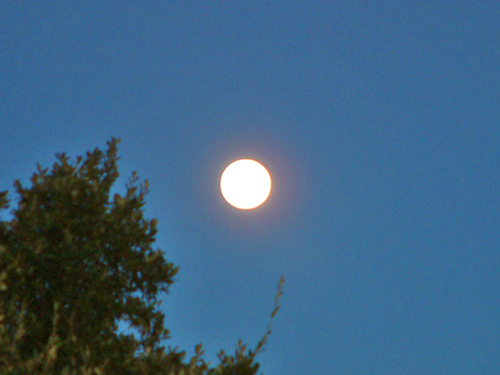 October Full Moon